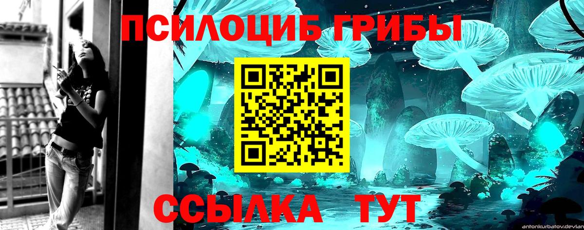 Галлюциногенные грибы Psilocybine cubensis Елец