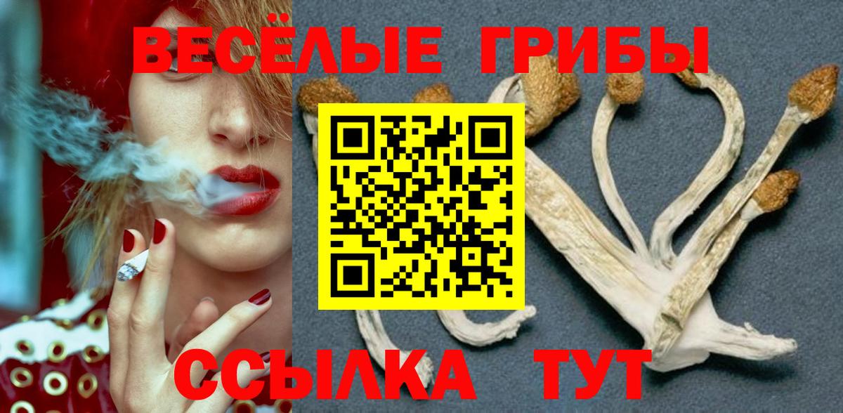 Елец  Галлюциногенные грибы GOLDEN TEACHER  Вход с VPN 